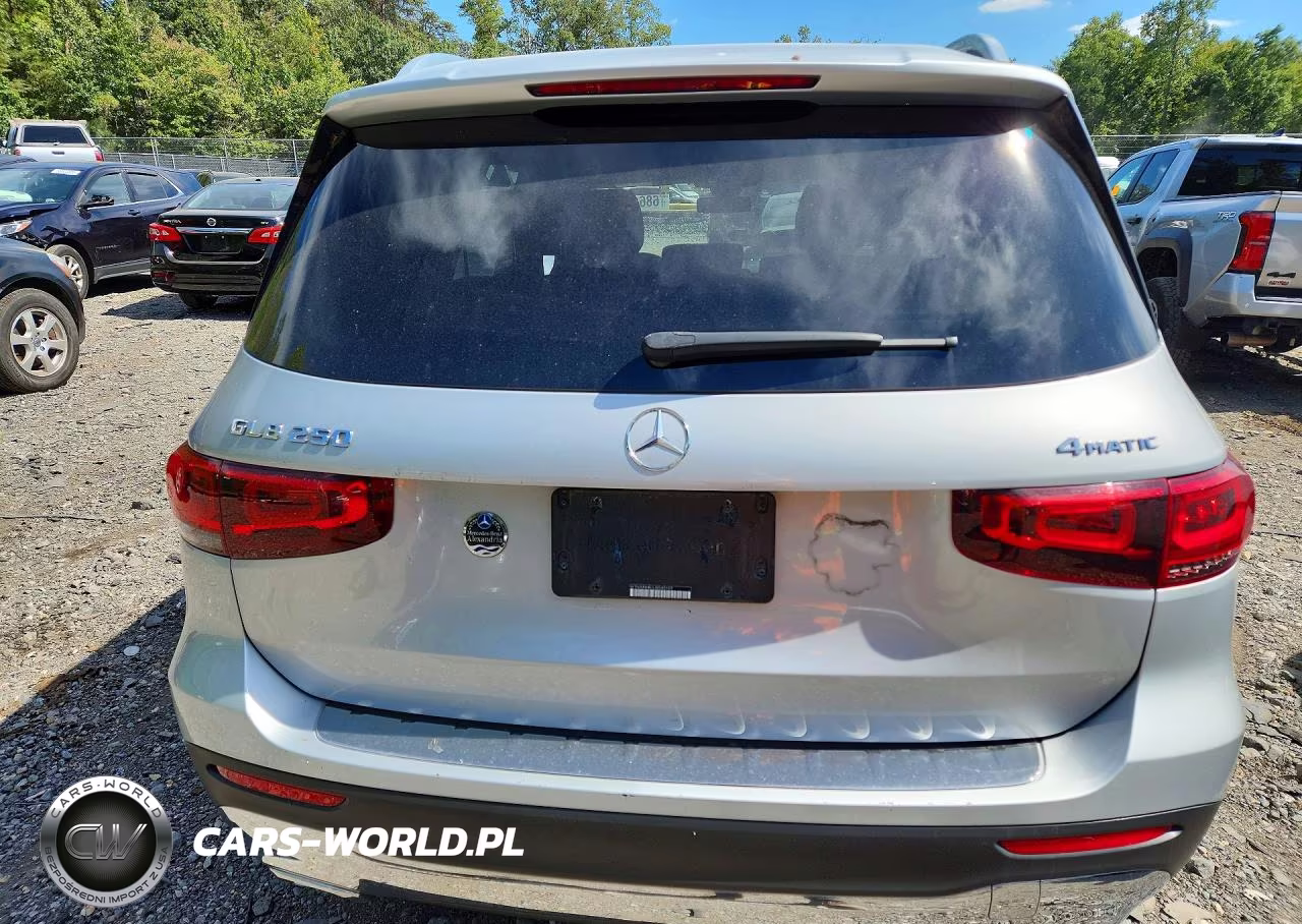 2020 Mercedes-Benz Glb 250 4Matic VIN:W1N4M4HB1LW040102 - 6