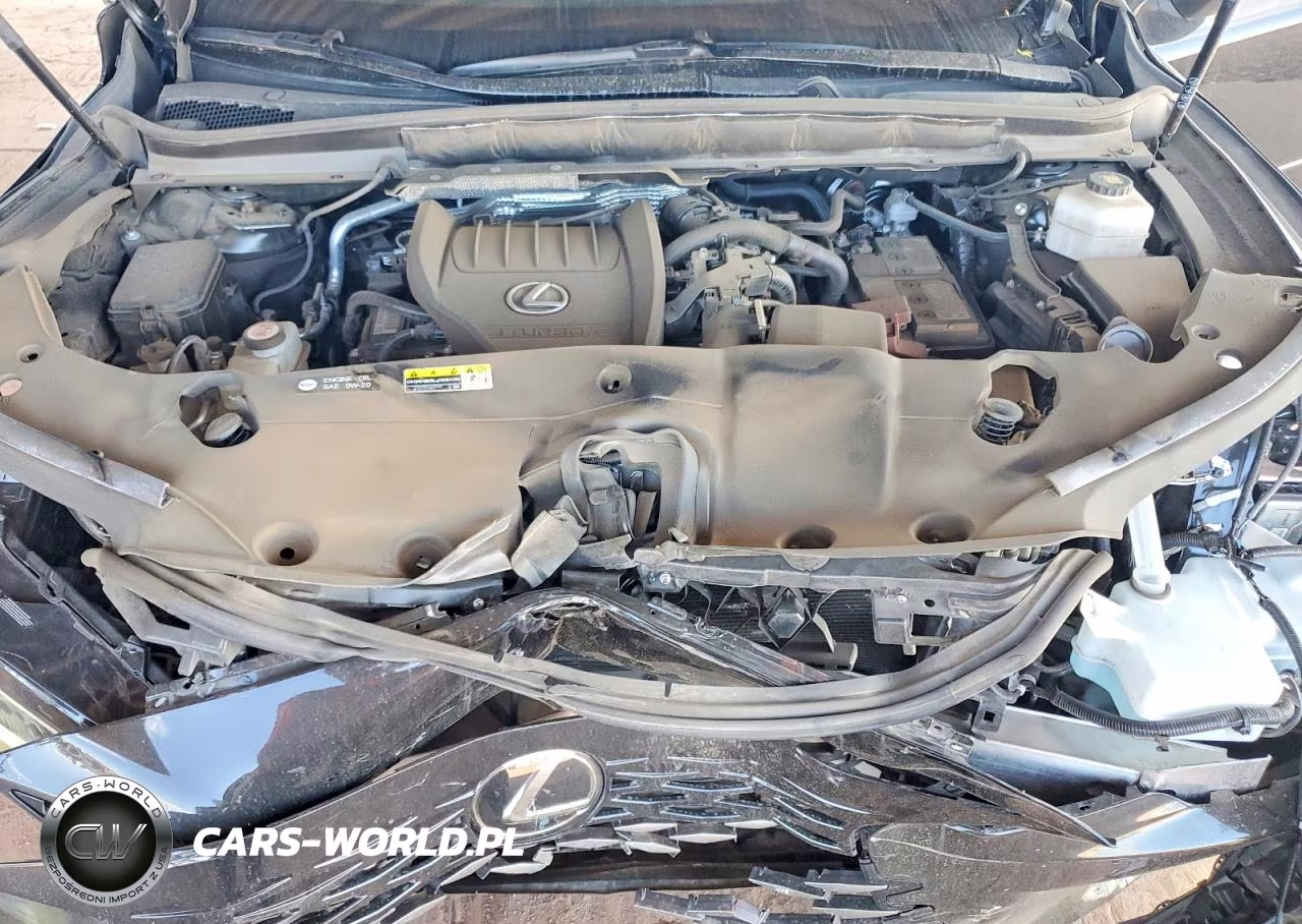 2024 Lexus Rx 350 Premium VIN:2T2BAMBA8RC031398 - 12