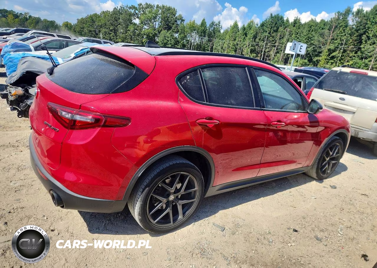 2019 Alfa Romeo Stelvio VIN:ZASPAKAN5K7C70344 - 3