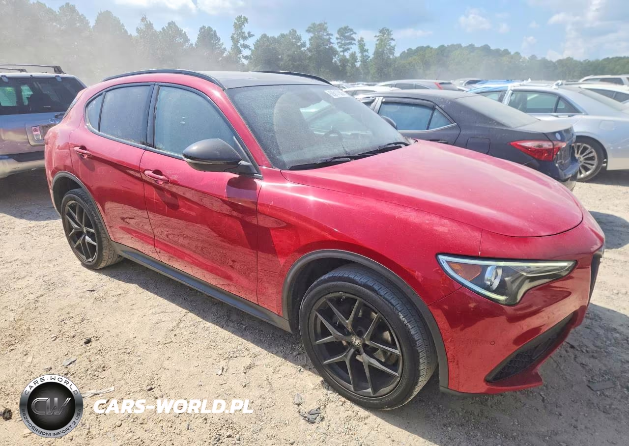 2019 Alfa Romeo Stelvio VIN:ZASPAKAN5K7C70344 - 4