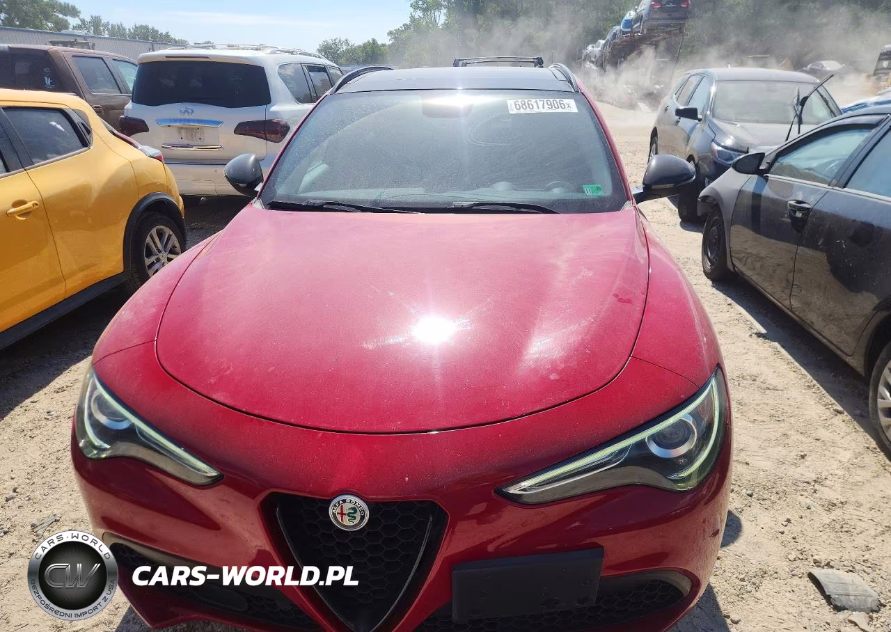 2019 Alfa Romeo Stelvio VIN:ZASPAKAN5K7C70344 - 5