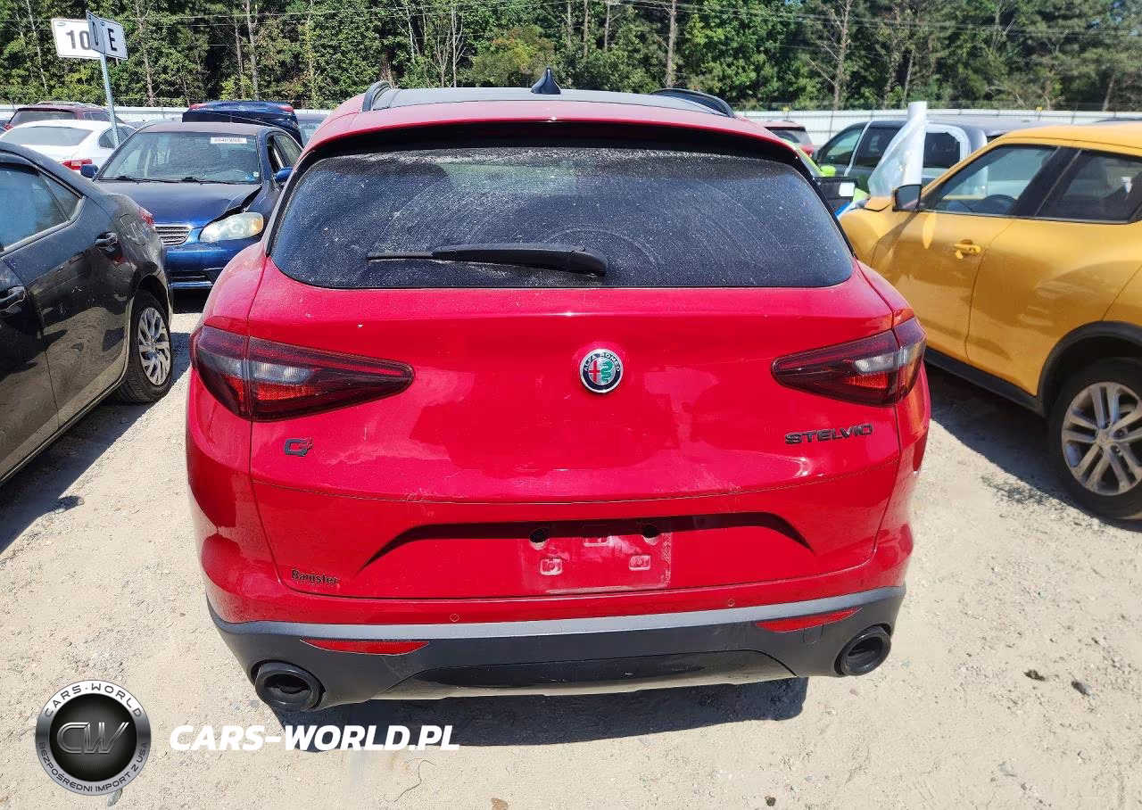 2019 Alfa Romeo Stelvio VIN:ZASPAKAN5K7C70344 - 6