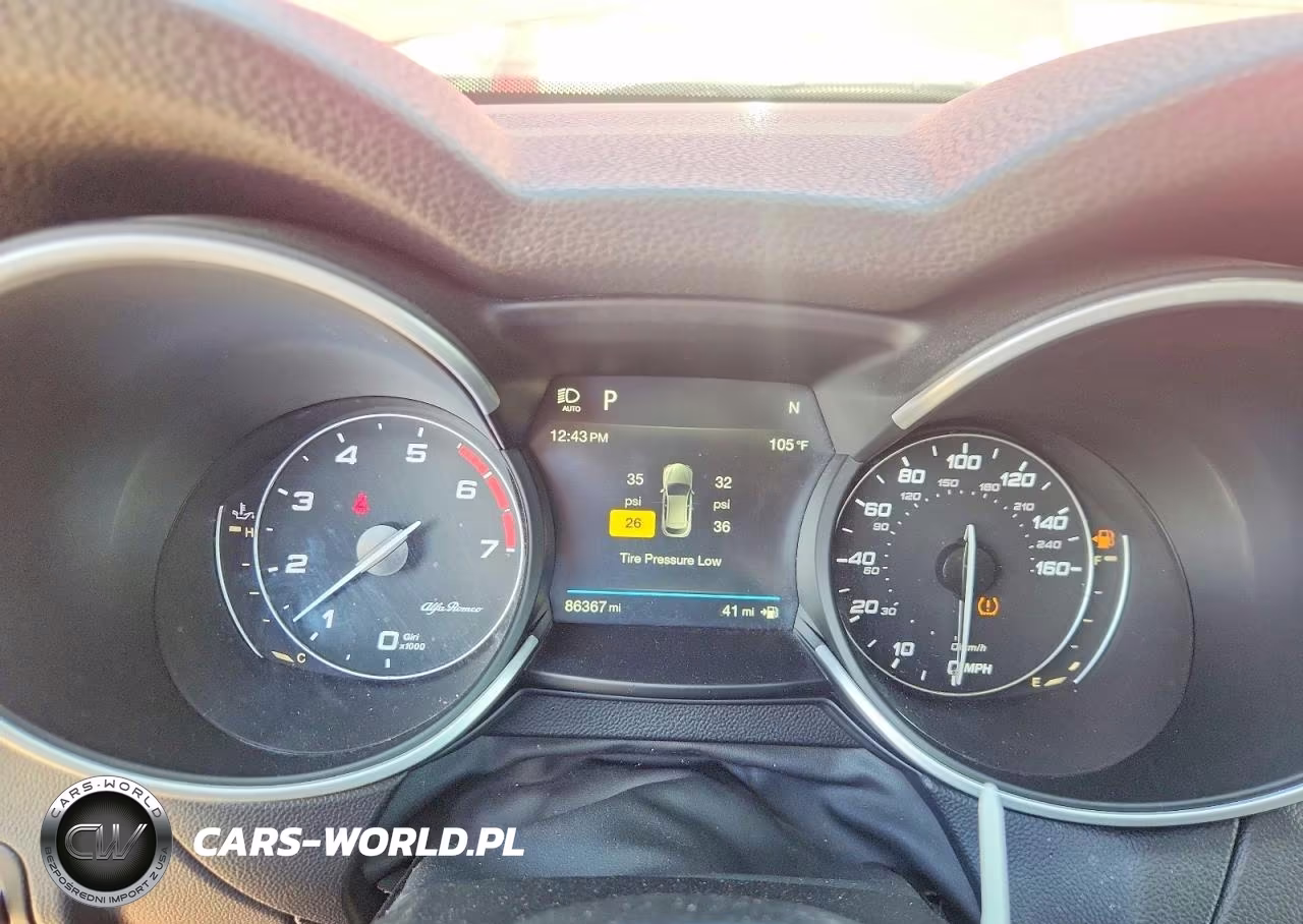2019 Alfa Romeo Stelvio VIN:ZASPAKAN5K7C70344 - 9