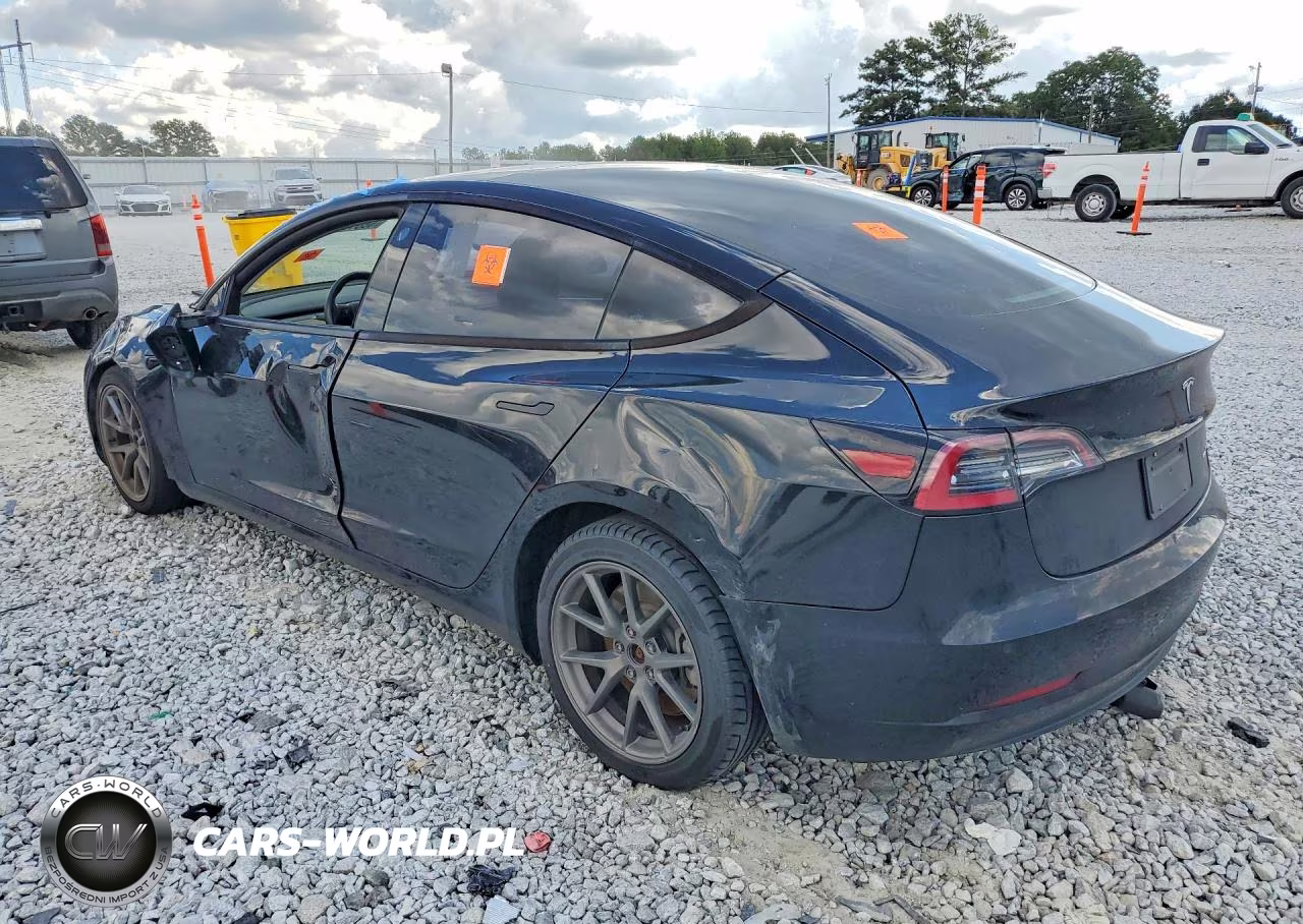 2022 Tesla Model 3 VIN:5YJ3E1EB2NF191556 - 2