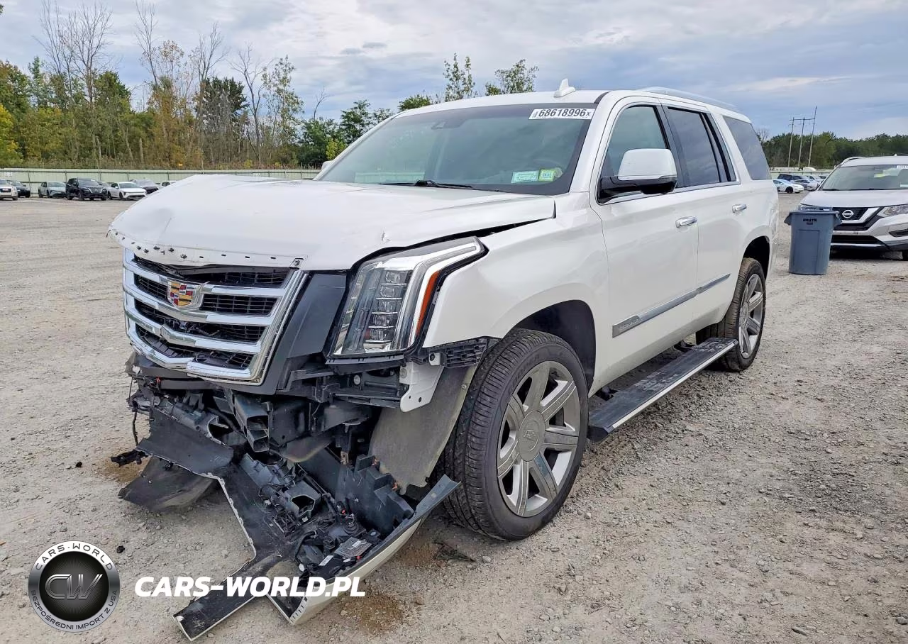 2019 Cadillac Escalade Premium Luxury VIN:1GYS4CKJ7KR346124 - 1