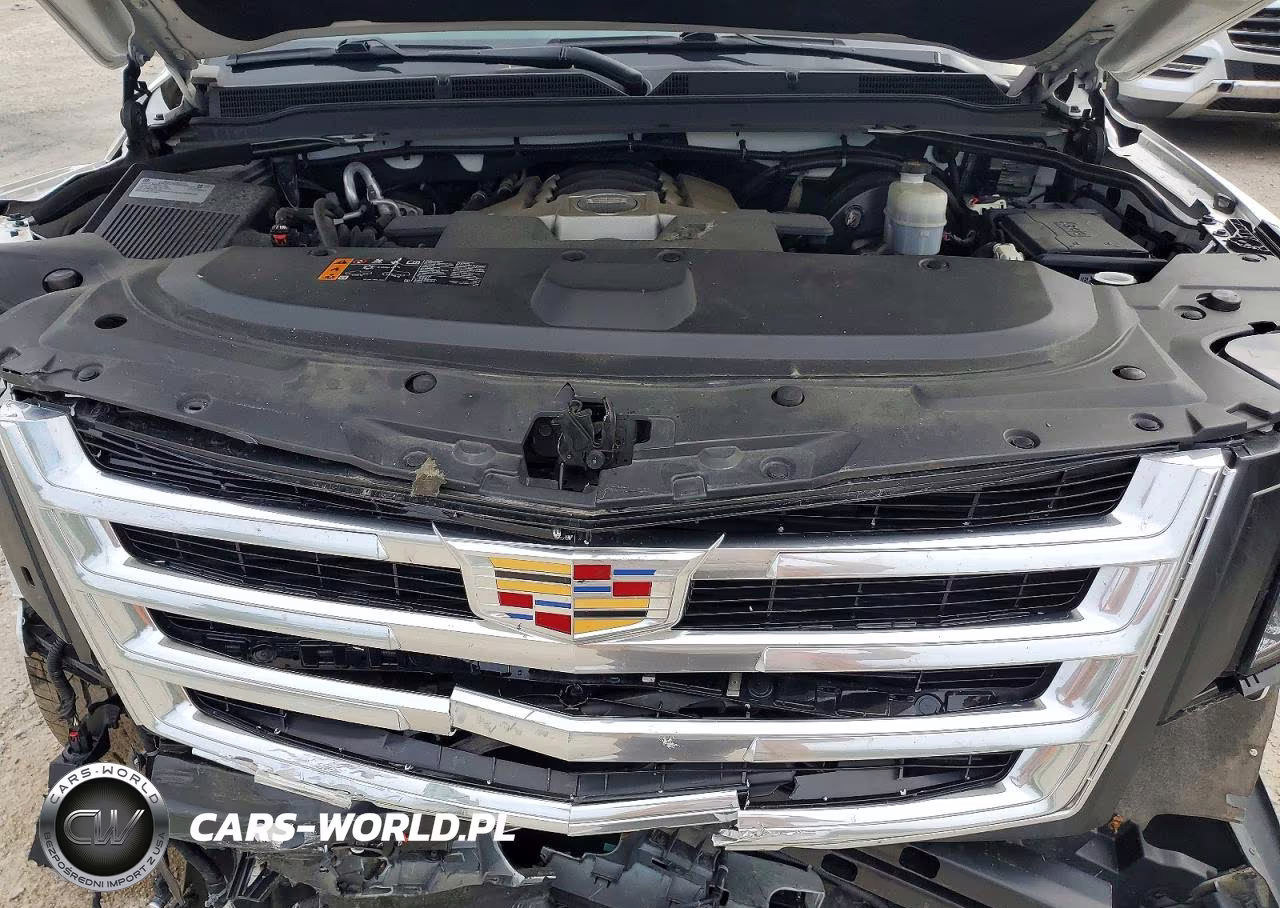 2019 Cadillac Escalade Premium Luxury VIN:1GYS4CKJ7KR346124 - 12