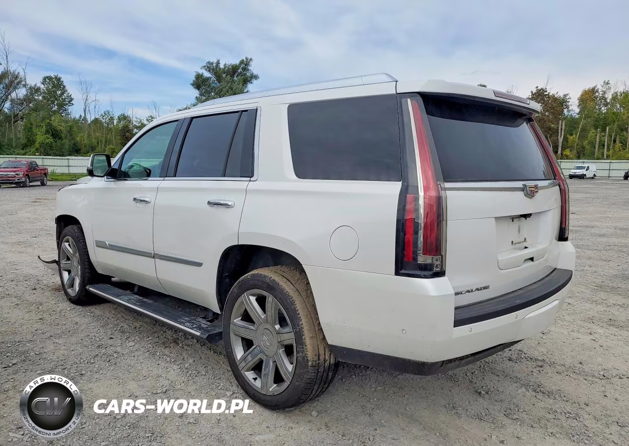 2019 Cadillac Escalade Premium Luxury VIN:1GYS4CKJ7KR346124 - 2