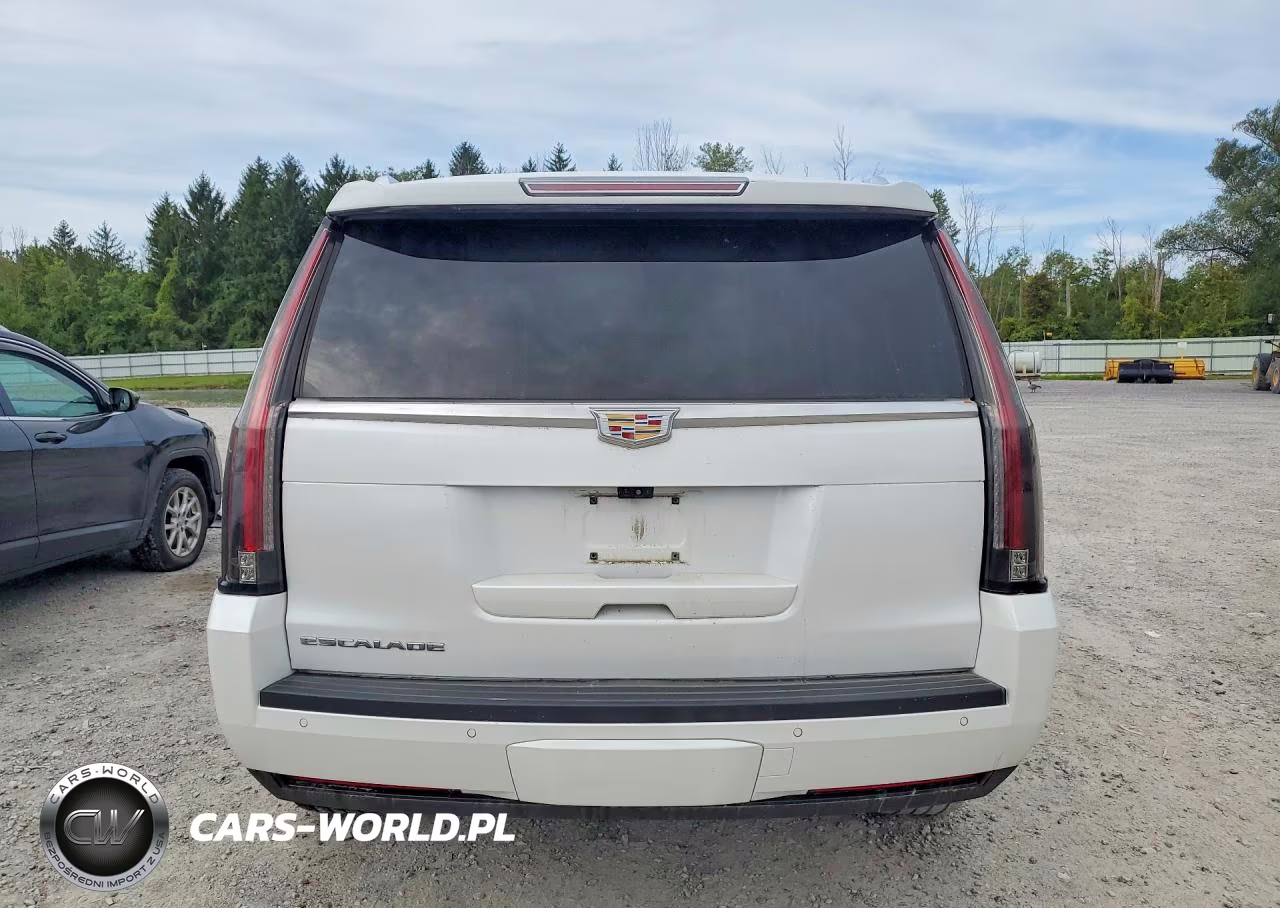 2019 Cadillac Escalade Premium Luxury VIN:1GYS4CKJ7KR346124 - 6