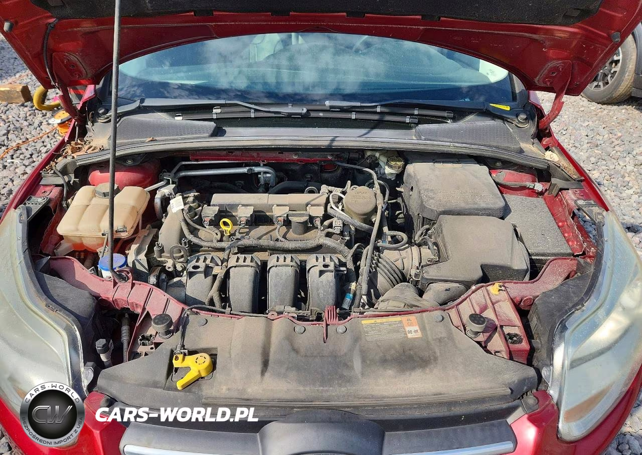 2014 Ford Focus Se VIN:1FADP3K28EL127913 - 11