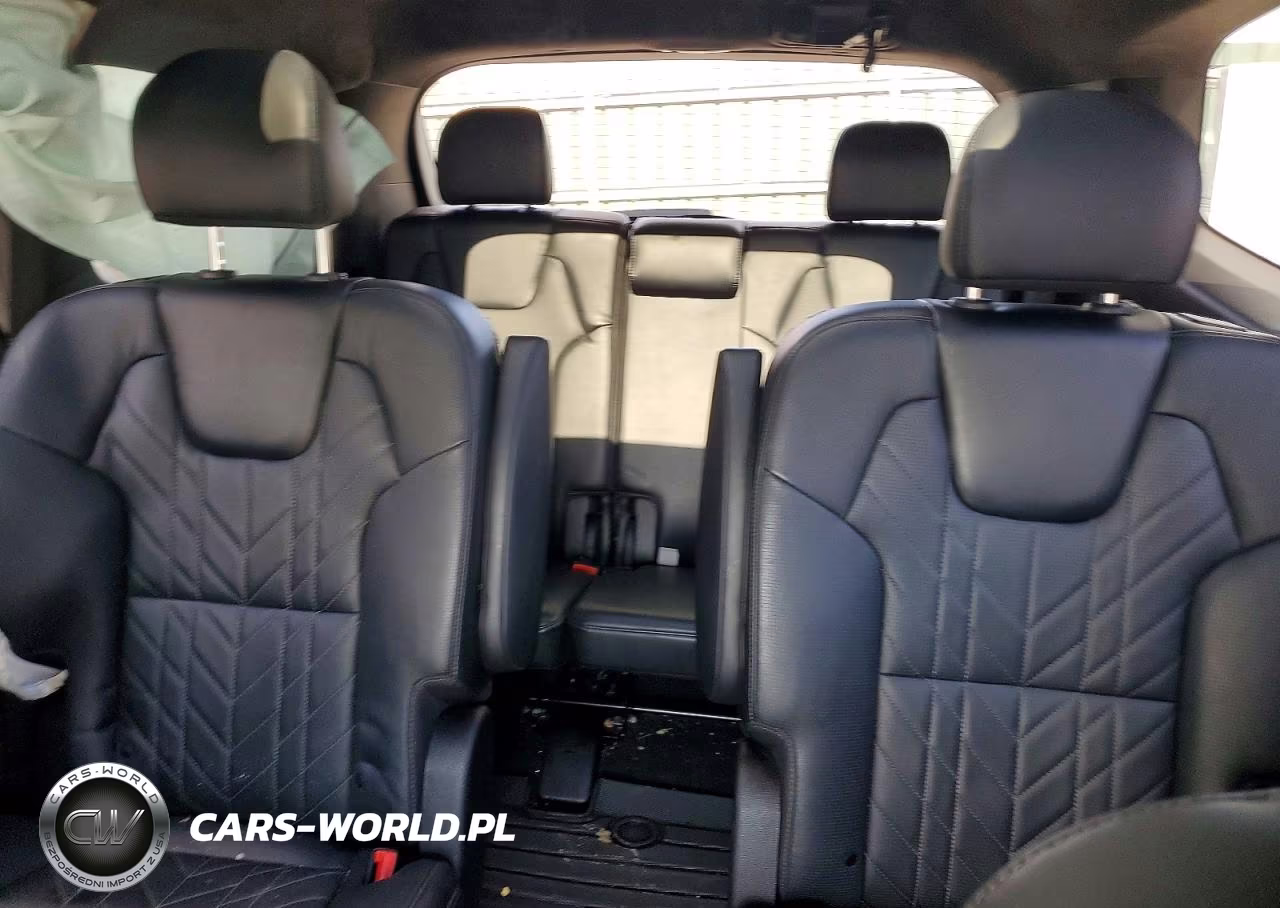 2023 Kia Telluride Sx-Prestige X-Line VIN:5XYP5DGC8PG397016 - 10
