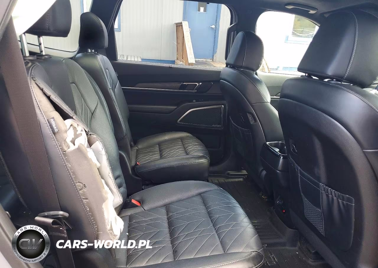 2023 Kia Telluride Sx-Prestige X-Line VIN:5XYP5DGC8PG397016 - 11