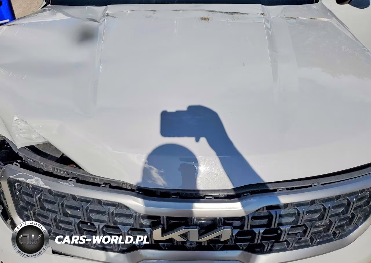 2023 Kia Telluride Sx-Prestige X-Line VIN:5XYP5DGC8PG397016 - 12