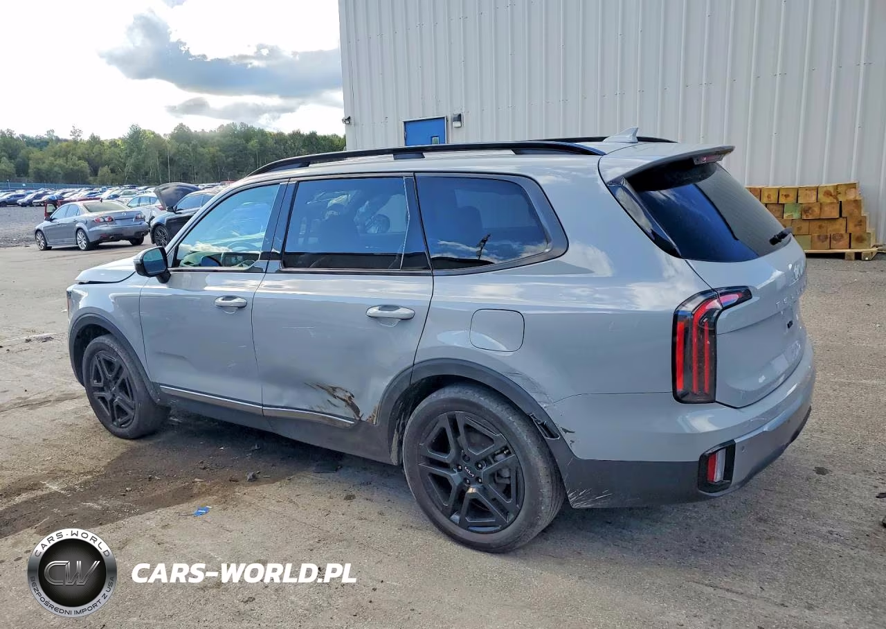 2023 Kia Telluride Sx-Prestige X-Line VIN:5XYP5DGC8PG397016 - 2