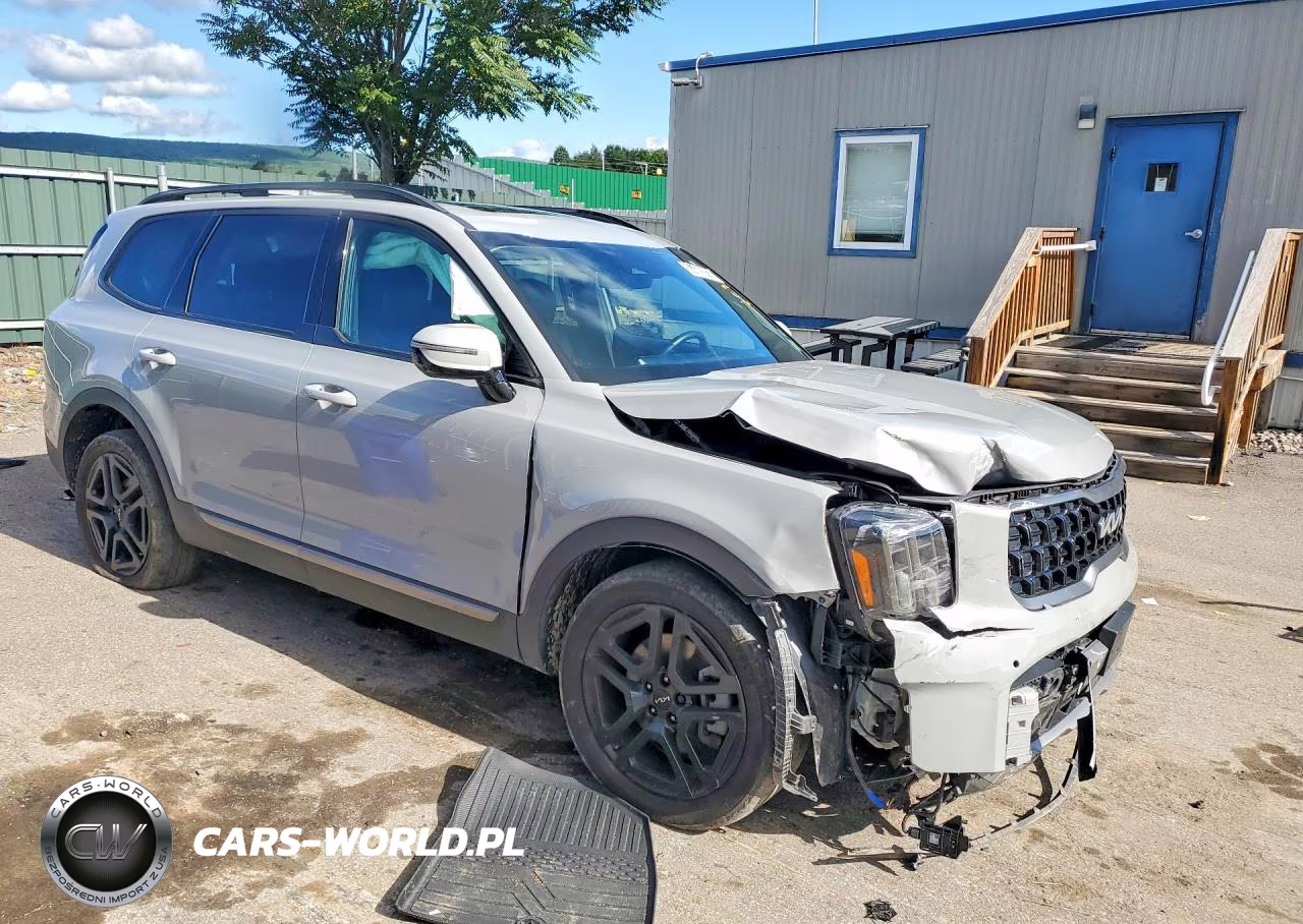 2023 Kia Telluride Sx-Prestige X-Line VIN:5XYP5DGC8PG397016 - 4
