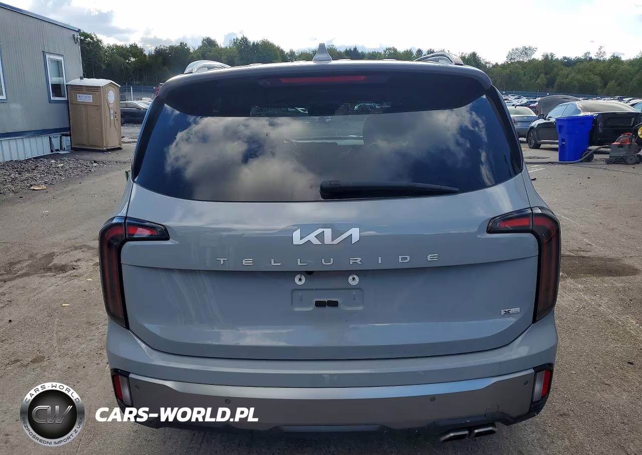 2023 Kia Telluride Sx-Prestige X-Line VIN:5XYP5DGC8PG397016 - 6