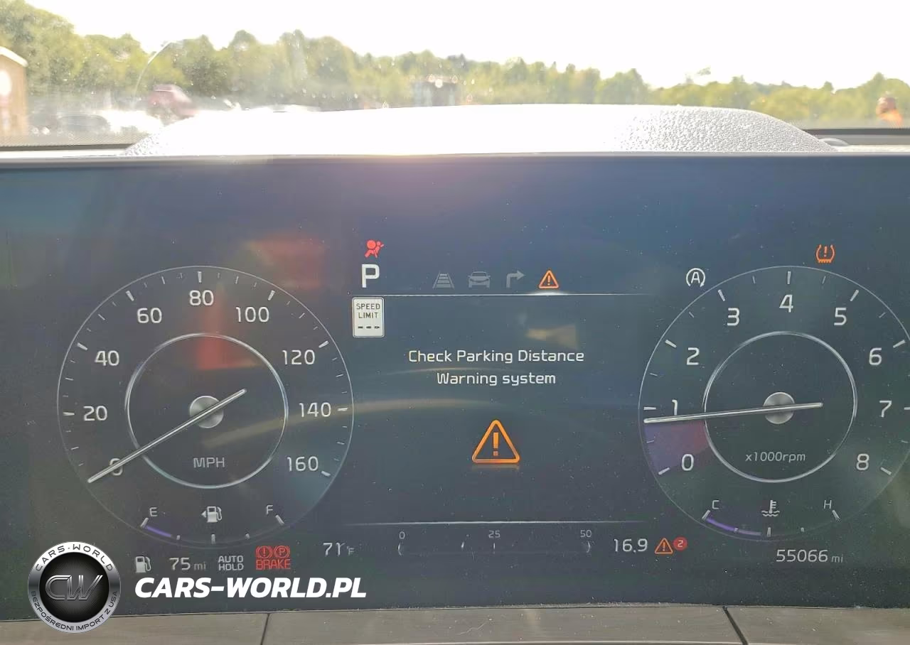 2023 Kia Telluride Sx-Prestige X-Line VIN:5XYP5DGC8PG397016 - 9