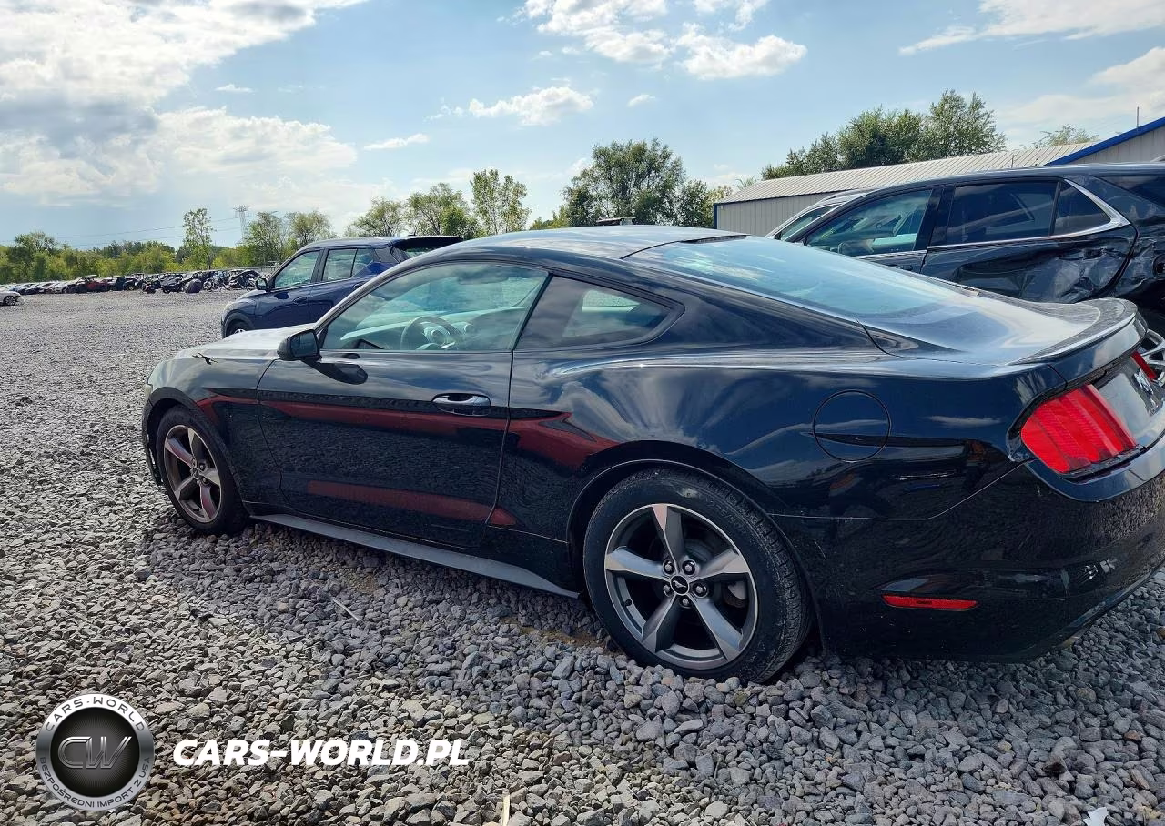 2017 Ford Mustang VIN:1FA6P8TH4H5246298 - 2