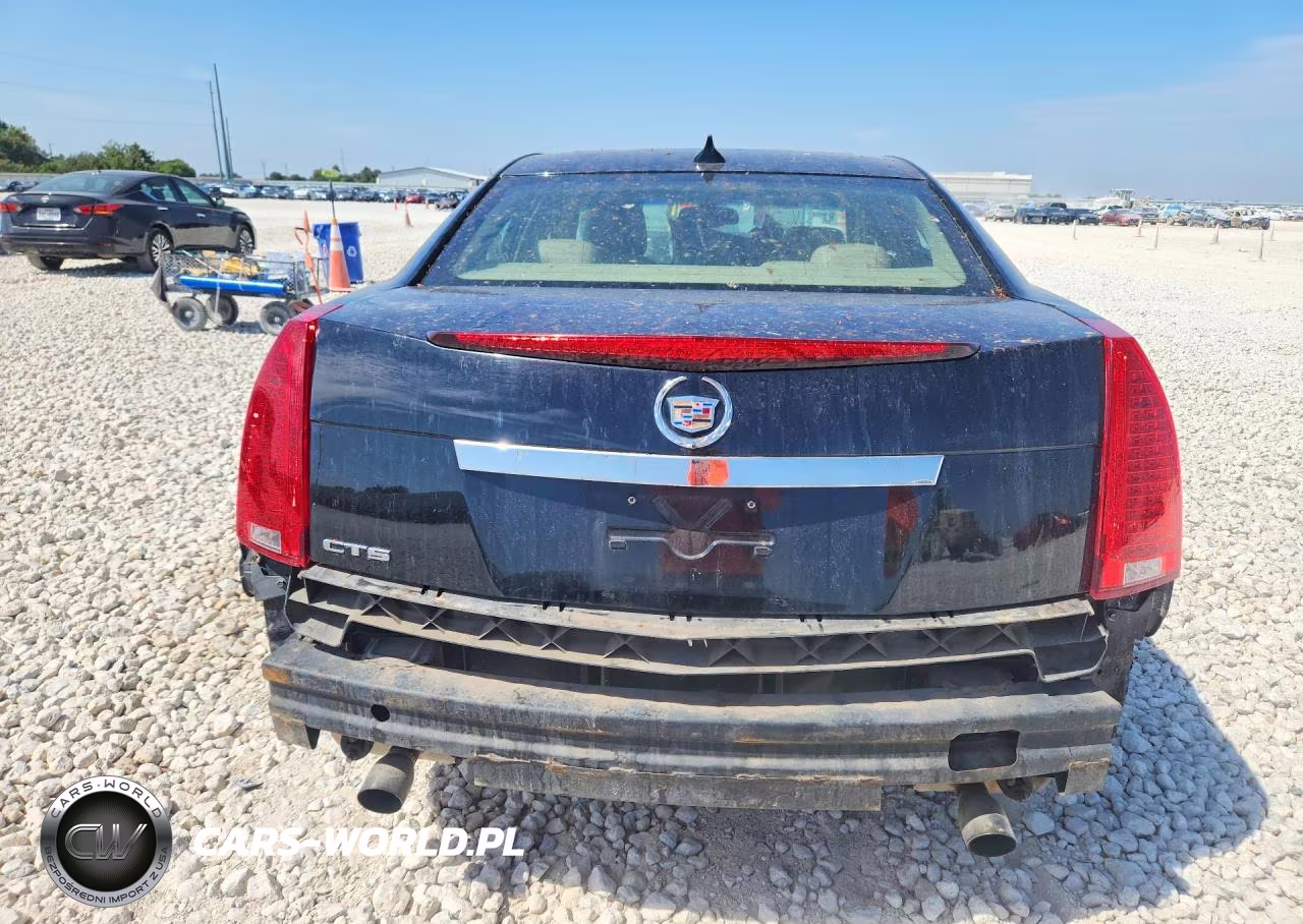2010 Cadillac Cts Luxury Collection VIN:1G6DE5EG2A0147284 - 6