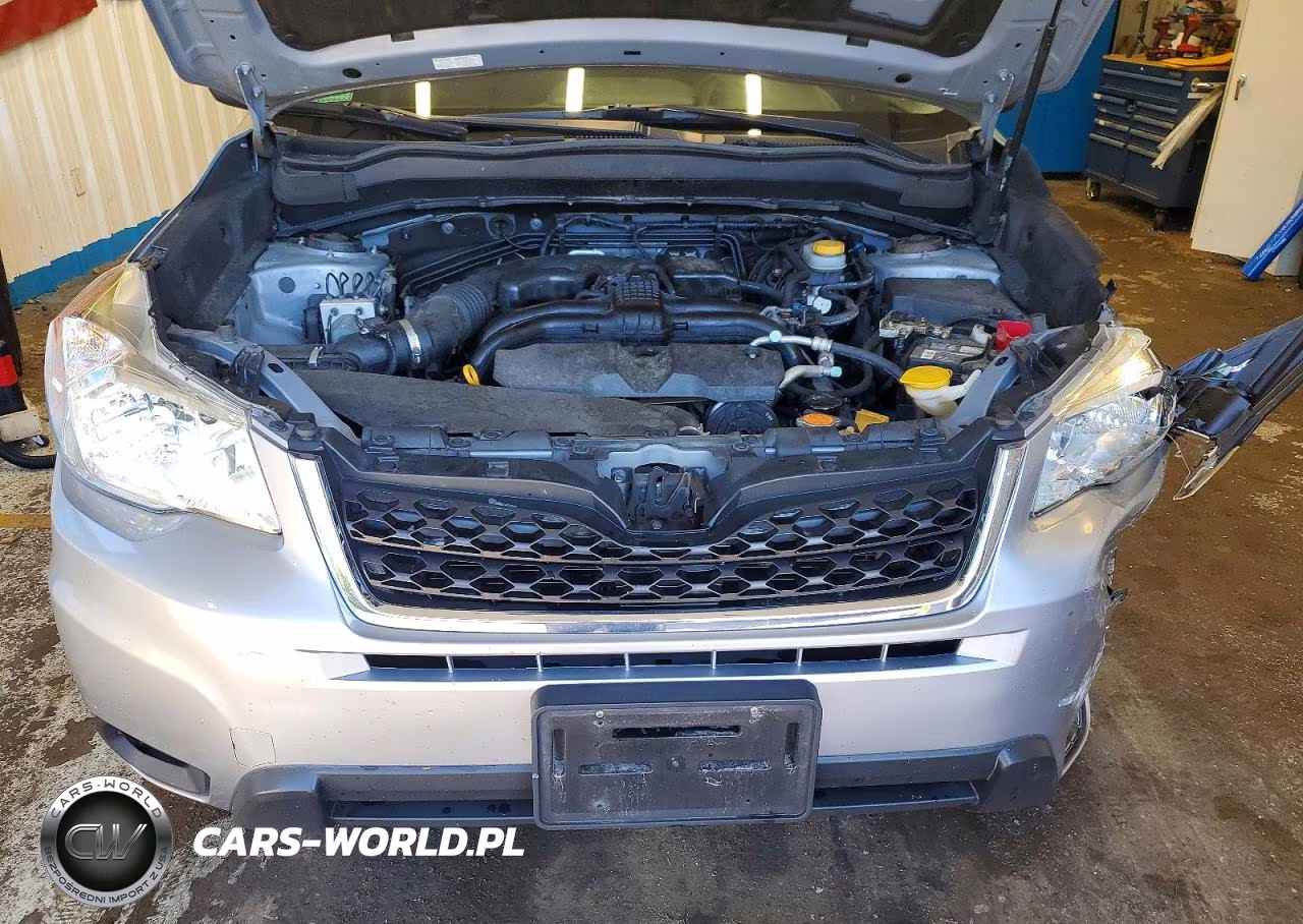 2016 Subaru Forester 2.5I Premium VIN:JF2SJADCXGH492999 - 12