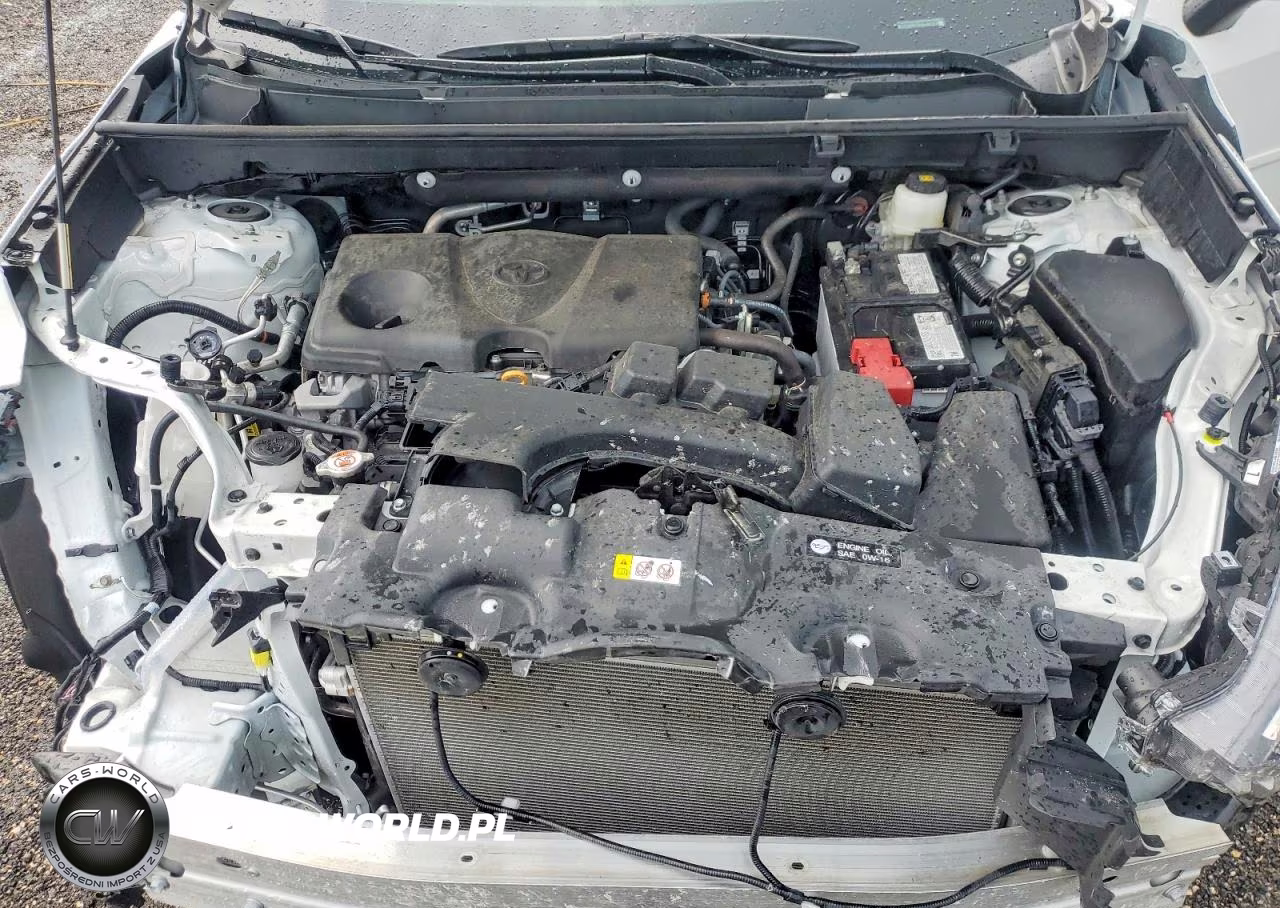 2025 Toyota Rav4 Xle VIN:2T3W1RFV8SW386129 - 11