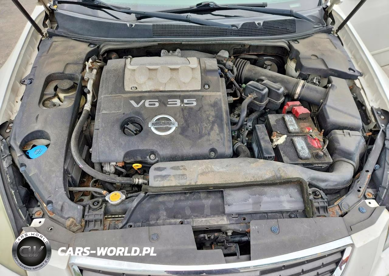 2008 Nissan Maxima 3.5 Se VIN:1N4BA41E58C804124 - 11