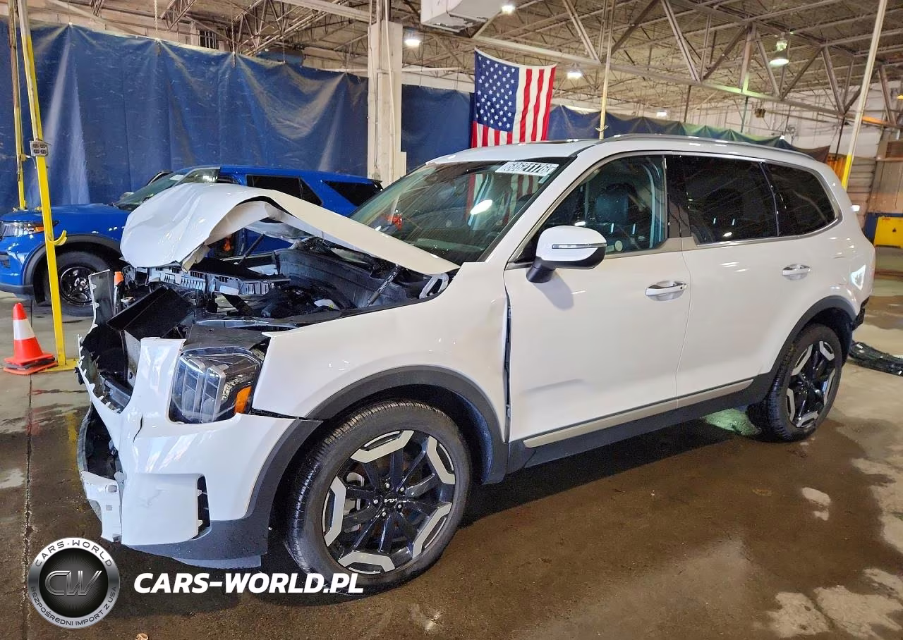 2025 Kia Telluride S VIN:5XYP6DGCXSG695413 - 1