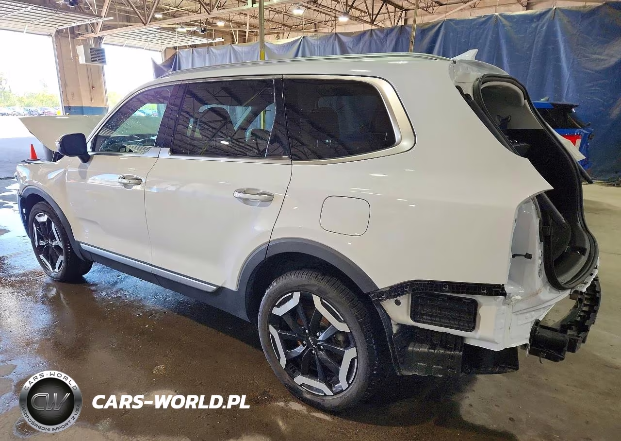 2025 Kia Telluride S VIN:5XYP6DGCXSG695413 - 2
