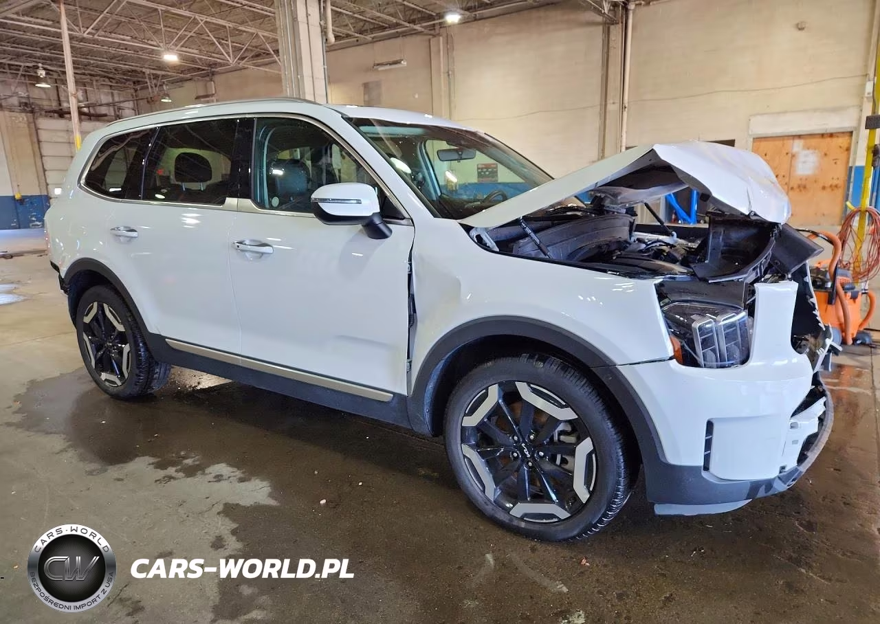 2025 Kia Telluride S VIN:5XYP6DGCXSG695413 - 4