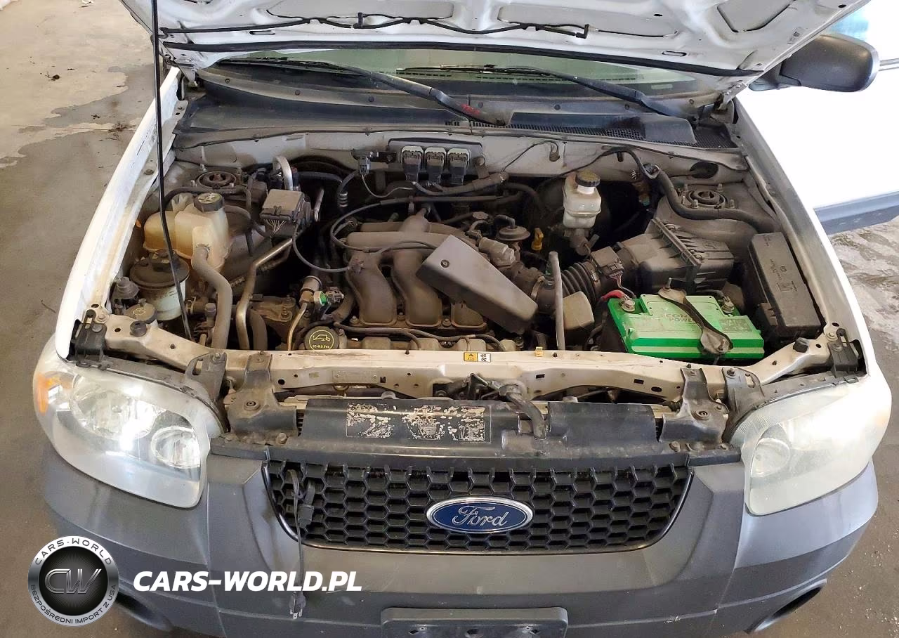 2006 Ford Escape Xlt VIN:1FMCU93166KA35371 - 12