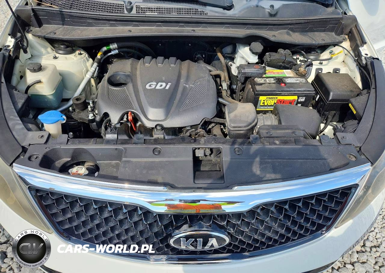 2016 Kia Sportage Lx VIN:KNDPB3AC5G7809952 - 12