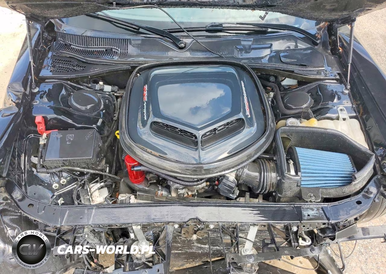 2019 Dodge Challenger R VIN:2C3CDZFJ1KH702157 - 11