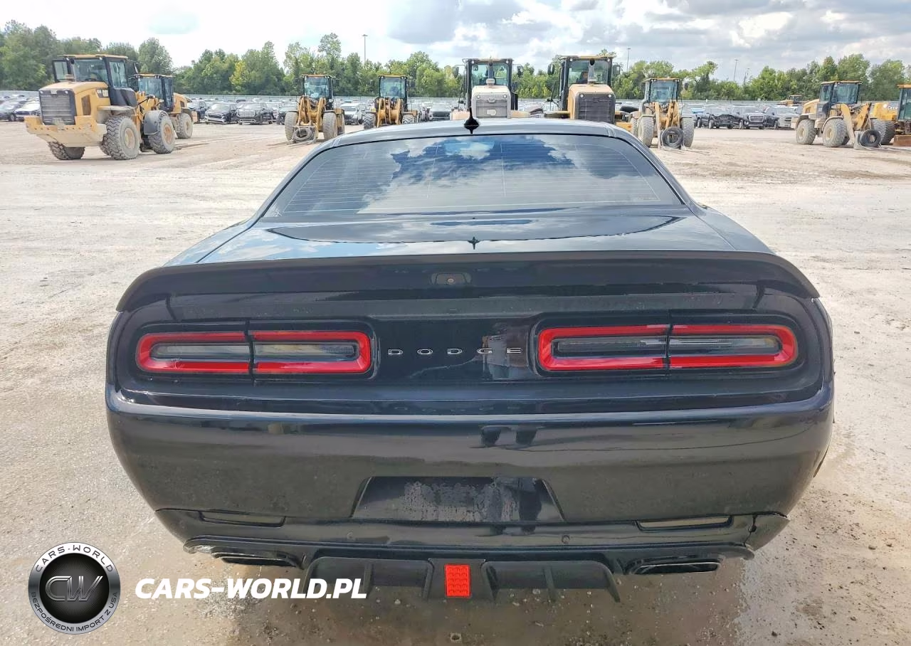 2019 Dodge Challenger R VIN:2C3CDZFJ1KH702157 - 6