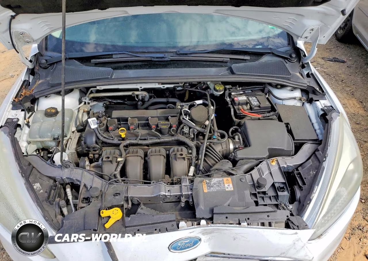 2014 Ford Focus Se VIN:1FADP3K21EL379096 - 11