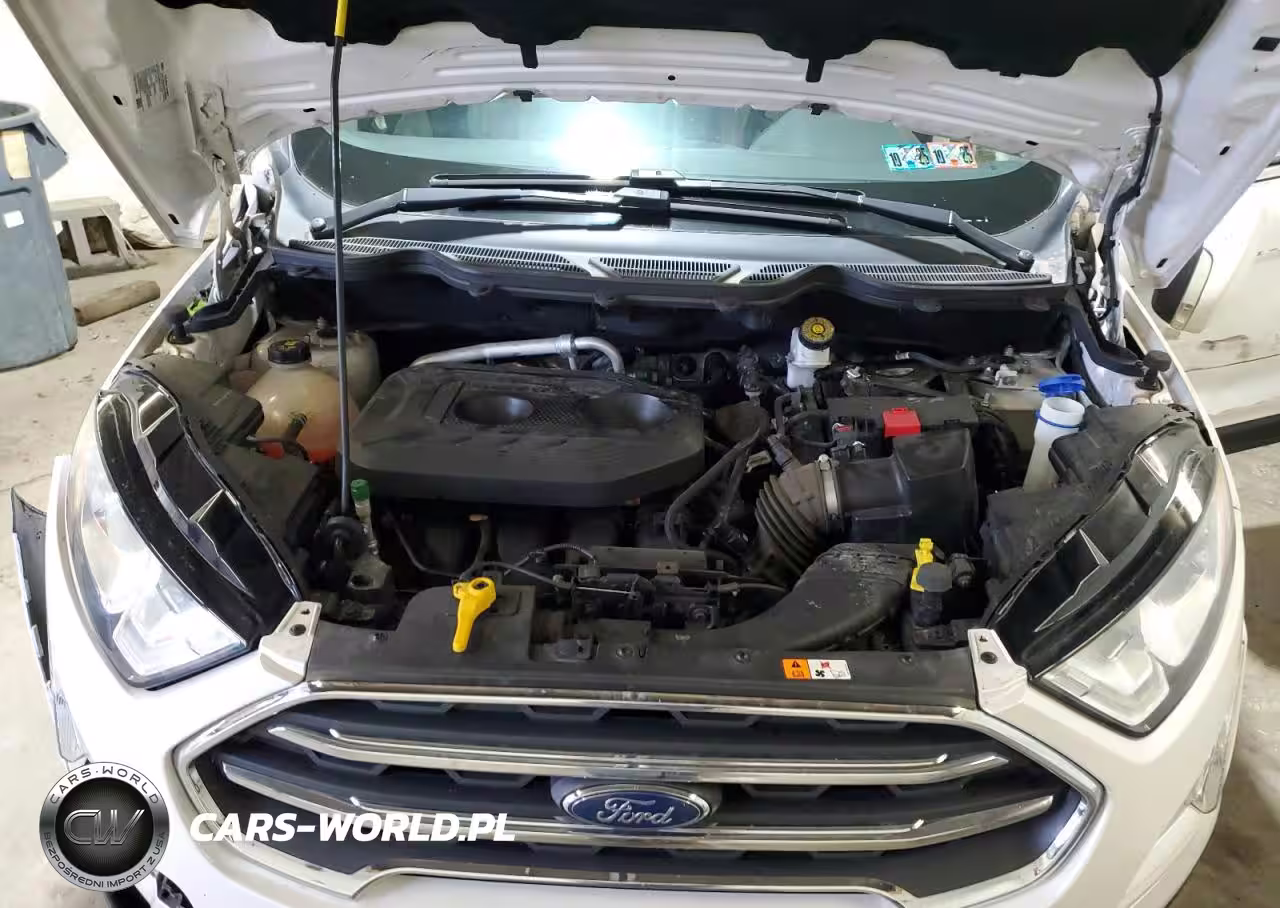 2019 Ford Ecosport Titanium VIN:MAJ6S3KL8KC260344 - 12