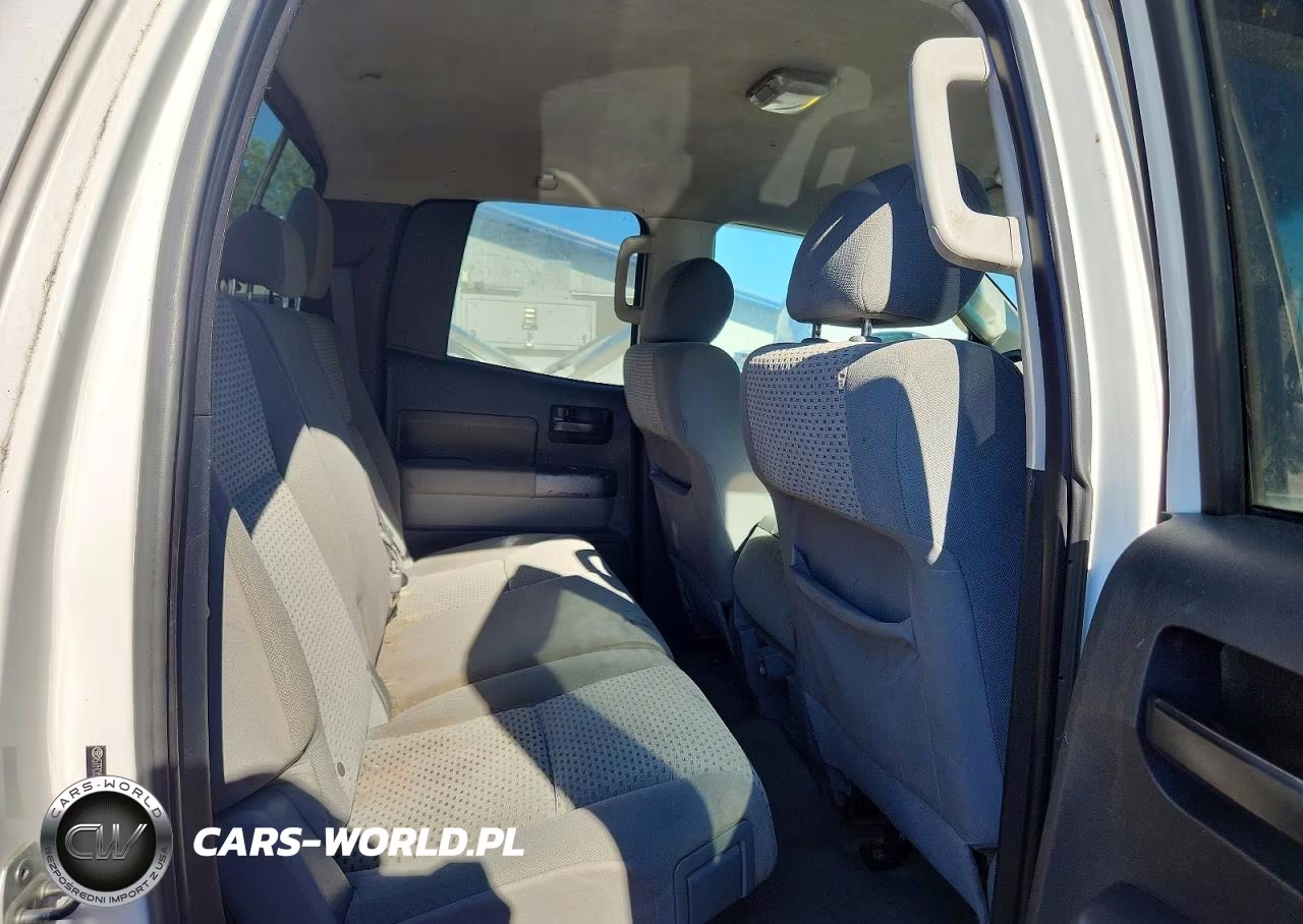 2010 Toyota Tundra Double Cab Sr5 VIN:5TFCY5F18AX009413 - 10