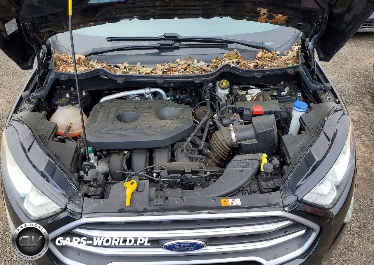 2019 Ford Ecosport Se VIN:MAJ6S3GL0KC251274 - 12