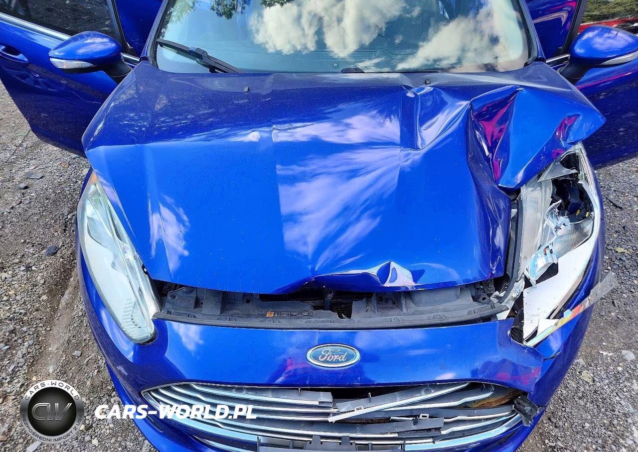 2014 Ford Fiesta Titanium VIN:3FADP4FJ0EM226215 - 11