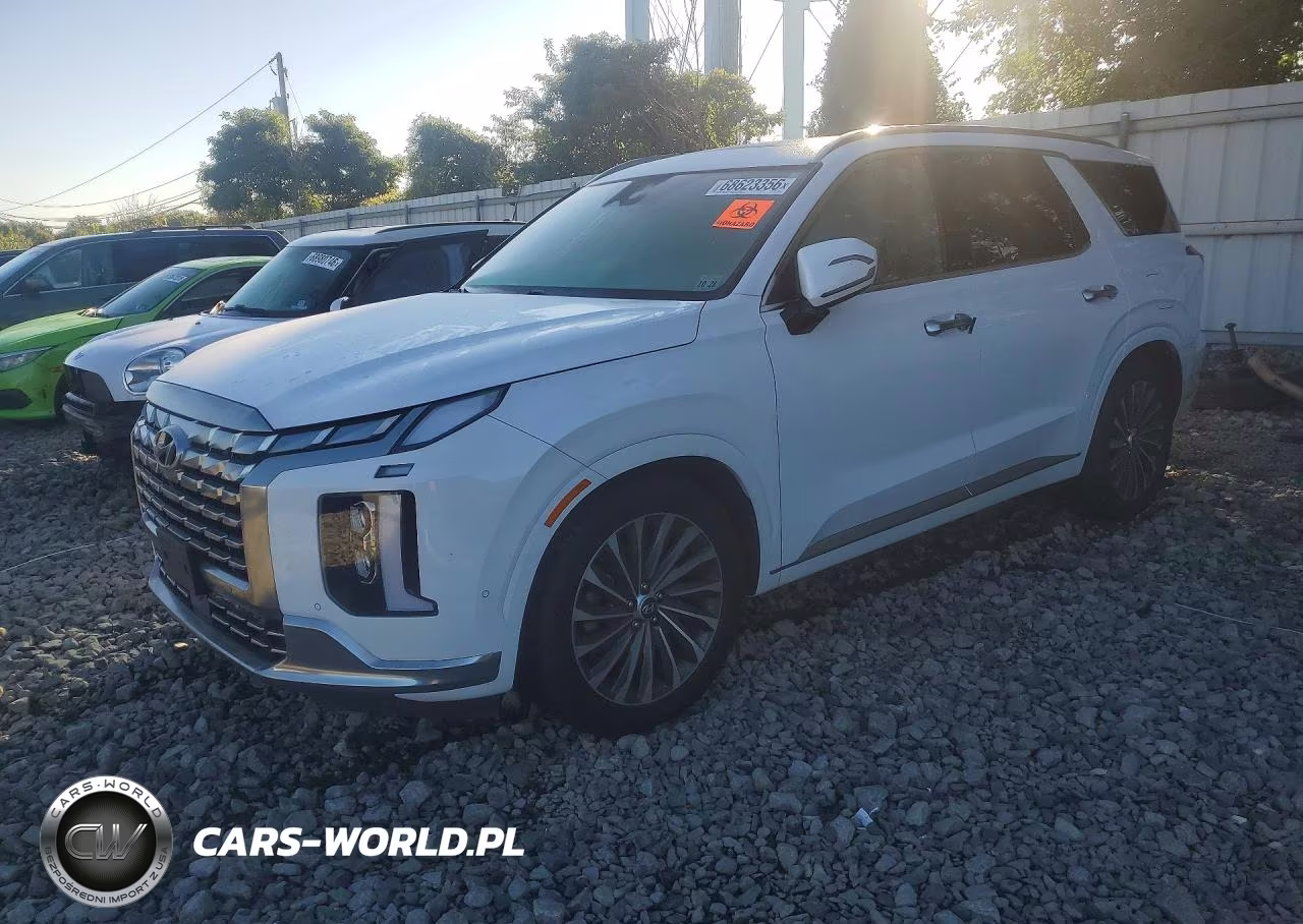 2024 Hyundai Palisade Calligraphy VIN:KM8R7DGE6RU678264 - 1
