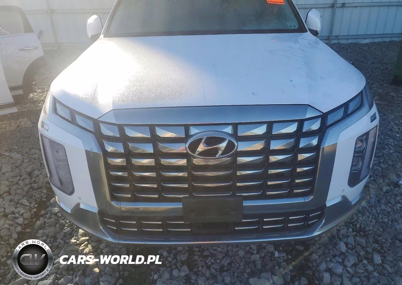 2024 Hyundai Palisade Calligraphy VIN:KM8R7DGE6RU678264 - 11