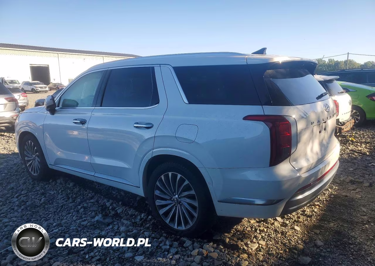 2024 Hyundai Palisade Calligraphy VIN:KM8R7DGE6RU678264 - 2