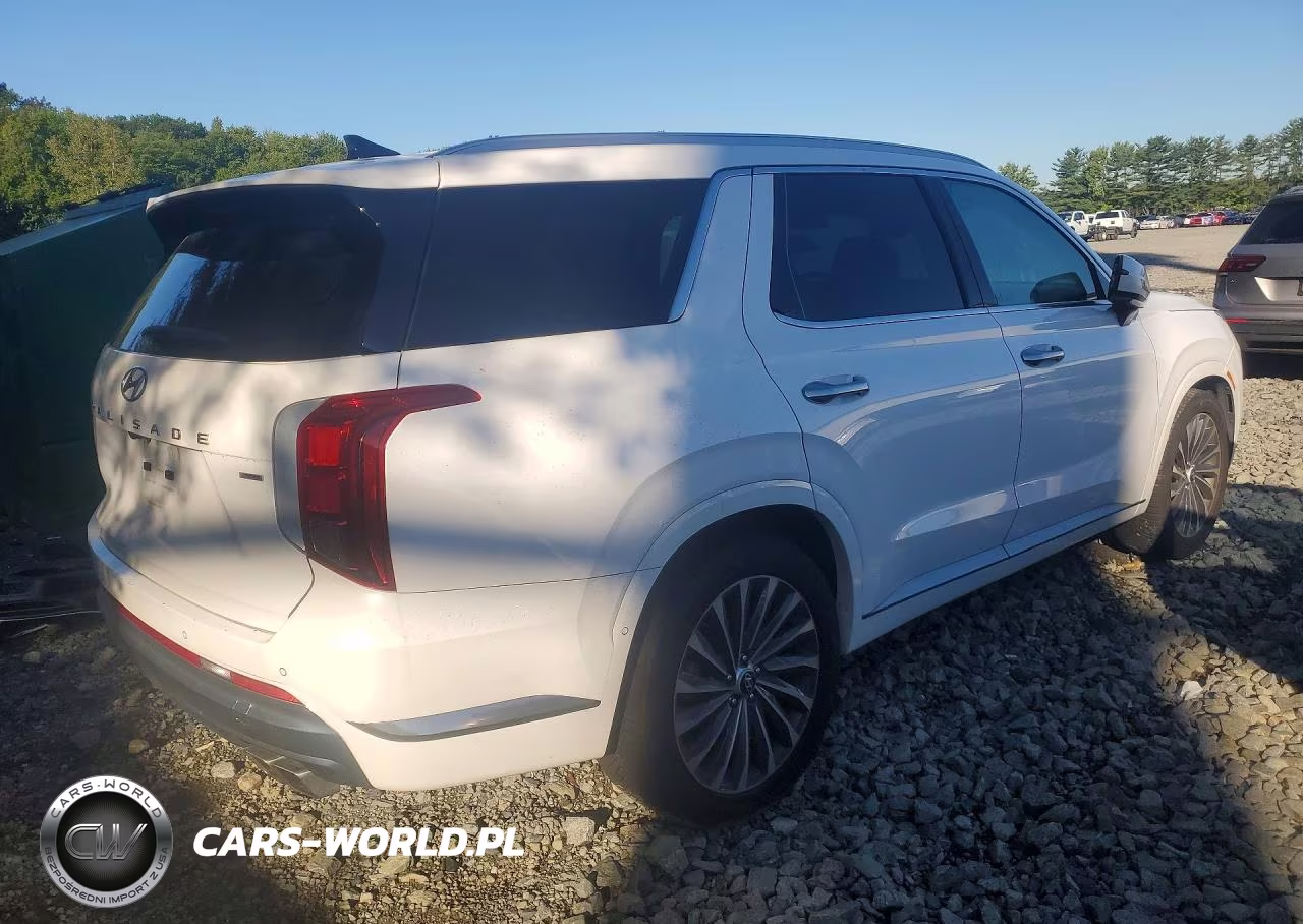 2024 Hyundai Palisade Calligraphy VIN:KM8R7DGE6RU678264 - 3