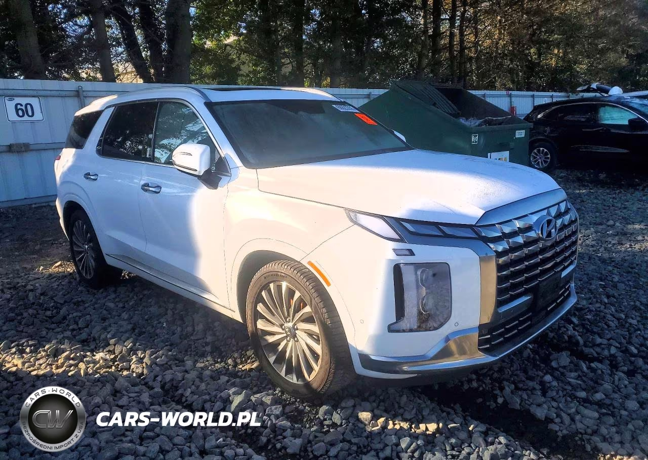 2024 Hyundai Palisade Calligraphy VIN:KM8R7DGE6RU678264 - 4