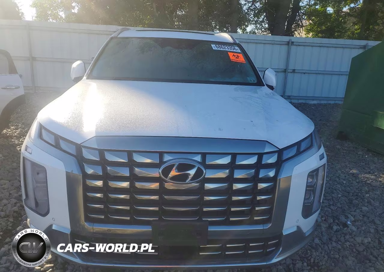 2024 Hyundai Palisade Calligraphy VIN:KM8R7DGE6RU678264 - 5