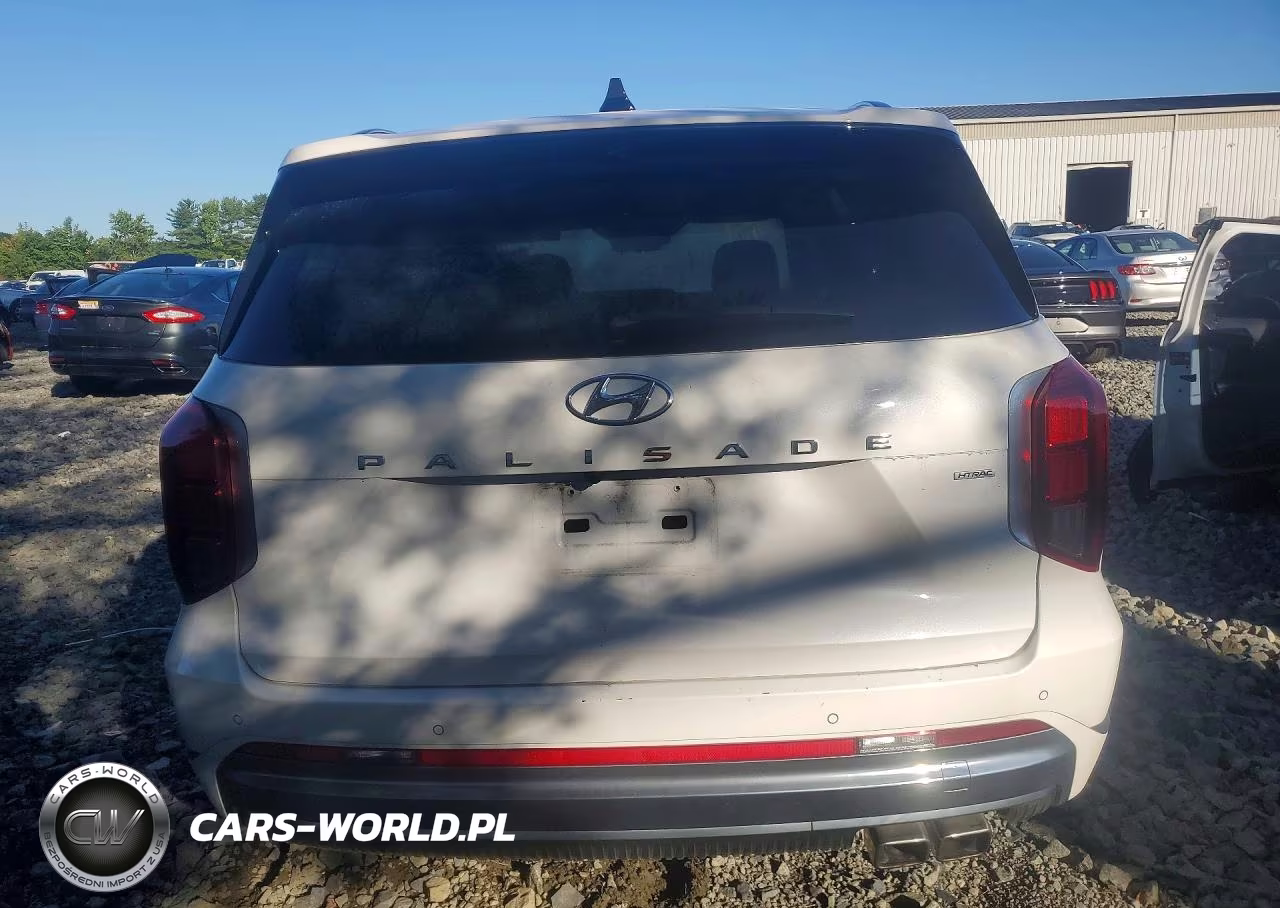 2024 Hyundai Palisade Calligraphy VIN:KM8R7DGE6RU678264 - 6