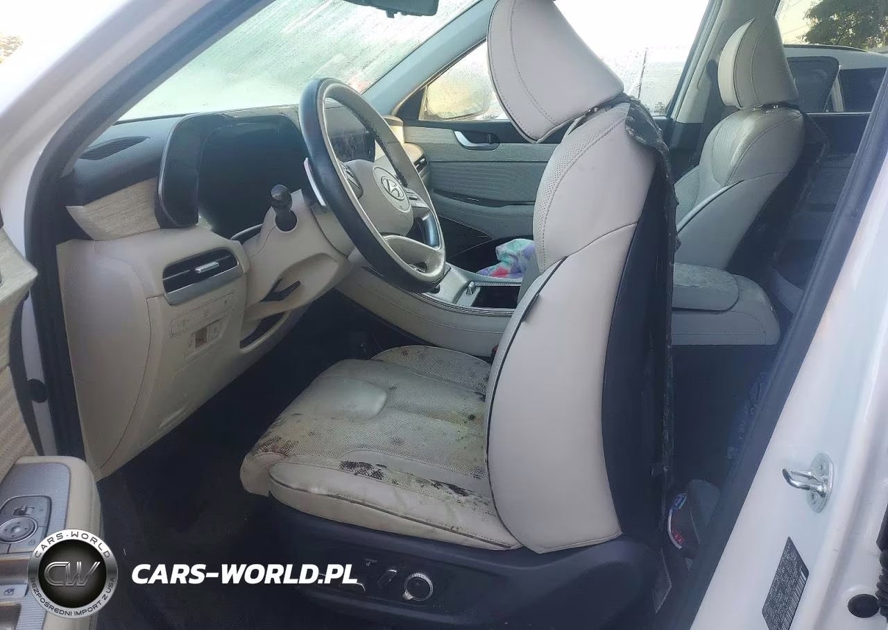 2024 Hyundai Palisade Calligraphy VIN:KM8R7DGE6RU678264 - 7