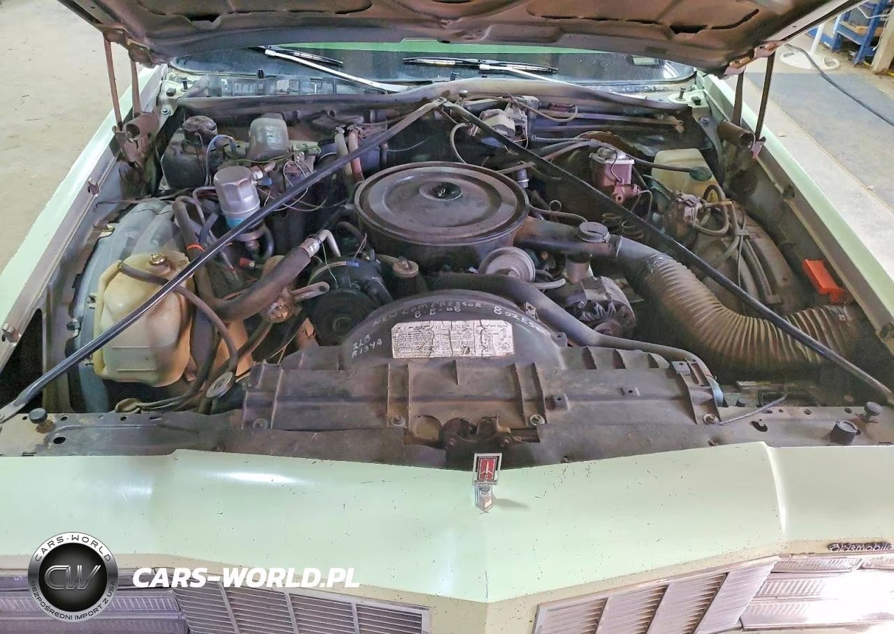 1979 Oldsmobile Delta 88 VIN:3N69R9M209064 - 11