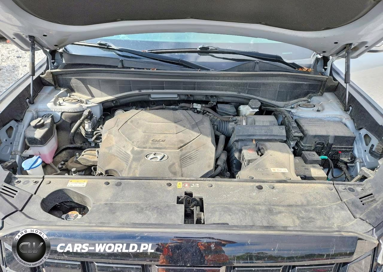 2023 Hyundai Palisade Sel VIN:KM8R2DGE0PU611946 - 12