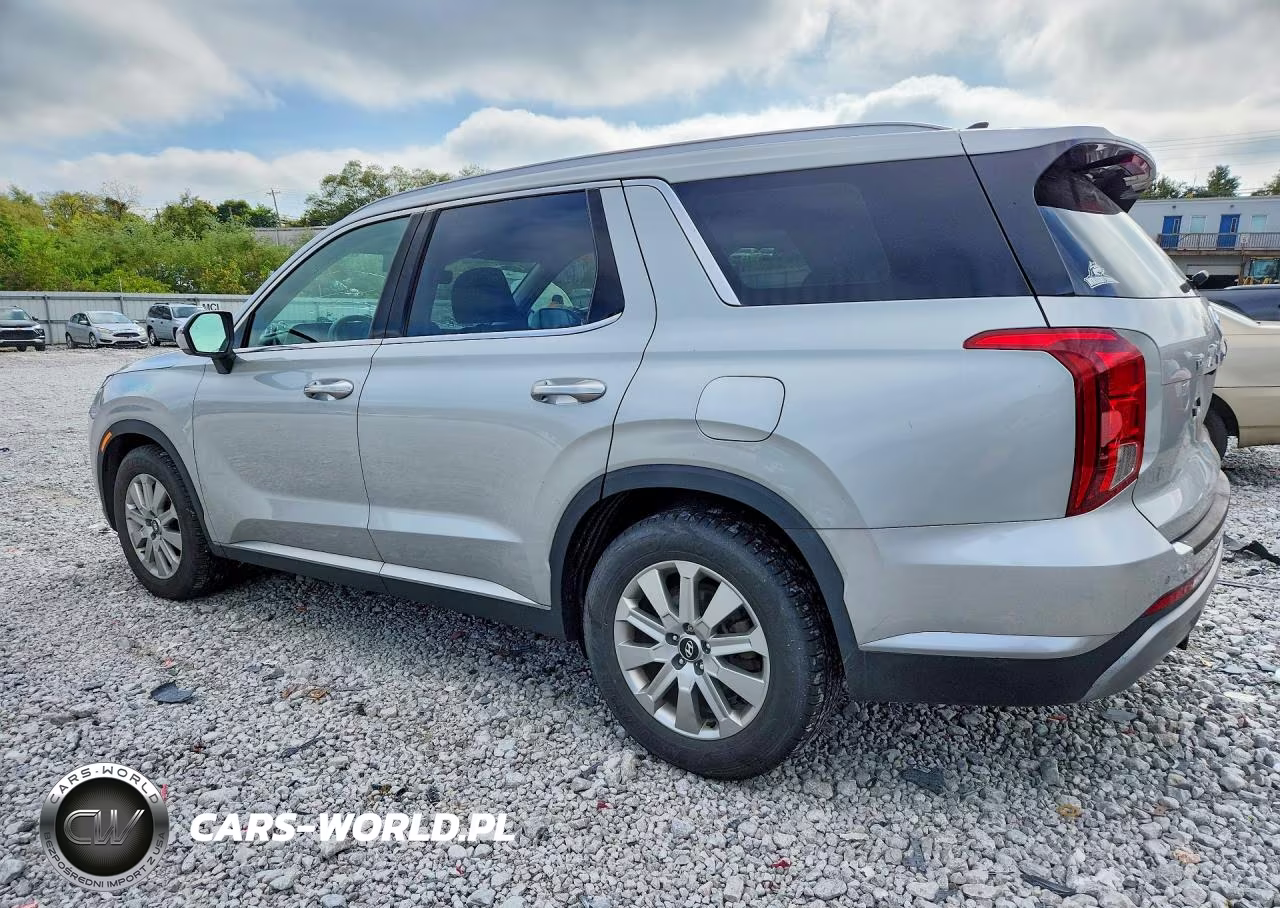 2023 Hyundai Palisade Sel VIN:KM8R2DGE0PU611946 - 2
