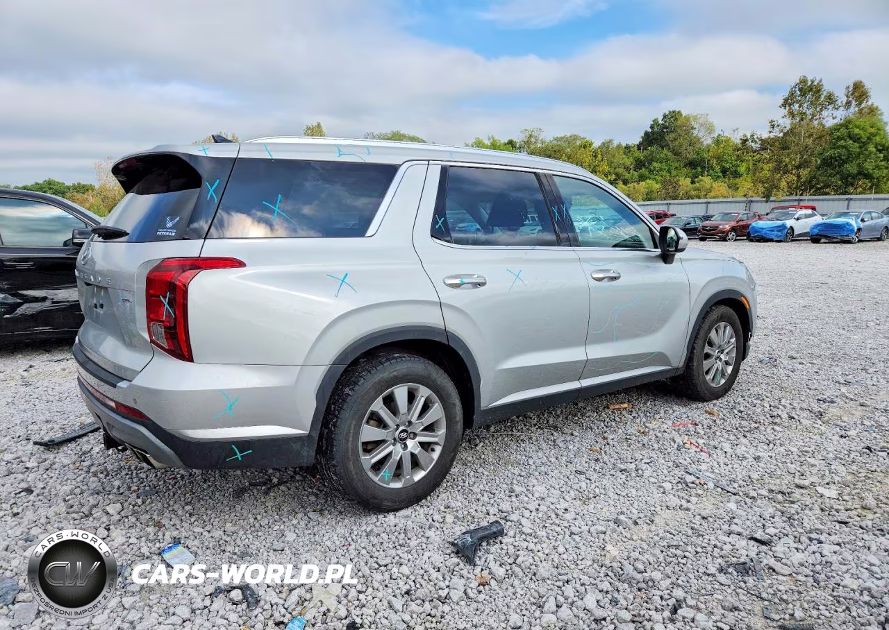 2023 Hyundai Palisade Sel VIN:KM8R2DGE0PU611946 - 3