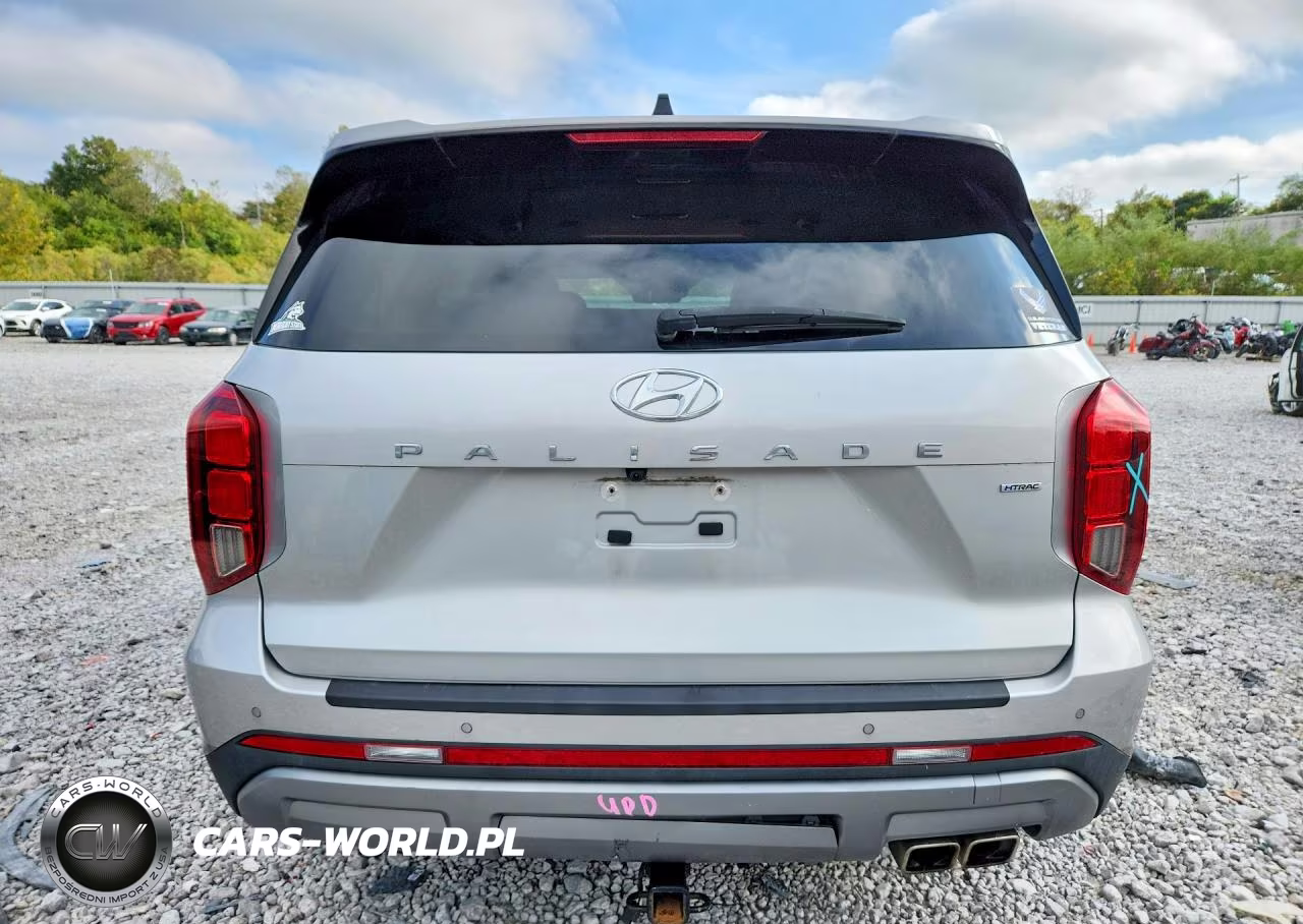 2023 Hyundai Palisade Sel VIN:KM8R2DGE0PU611946 - 6